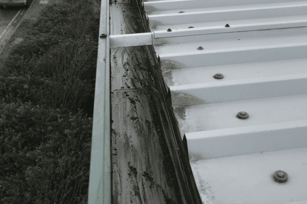 Commercial gutter cleaning specialists in Ashtead